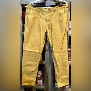 PLUS Curve Appeal jeans